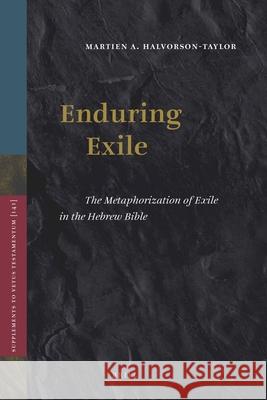 Enduring Exile: The Metaphorization of Exile in the Hebrew Bible Martien A. Halvorson-Taylor 9789004160972 Brill Academic Publishers - książka