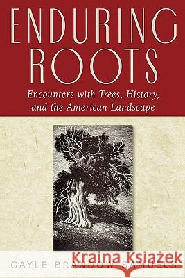 Enduring Roots: Encounters with Trees, History, and the American Landscape Samuels, Gayle Brandow 9780813535395 Rutgers State University of New Jersey - książka