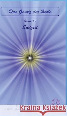 Endzeit Meeßen, Udo 9783384791337 tredition - książka