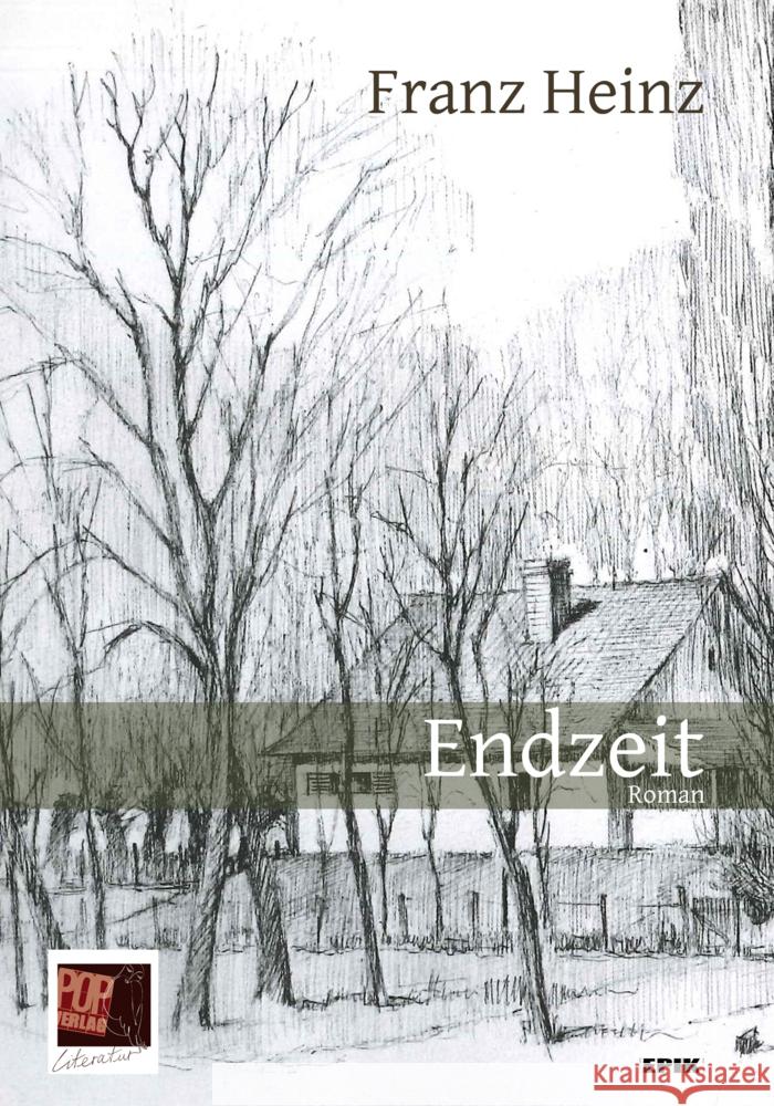 Endzeit Heinz, Franz 9783863563042 POP Verlag - książka