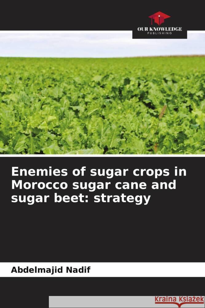 Enemies of sugar crops in Morocco sugar cane and sugar beet: strategy Abdelmajid Nadif   9786206191186 Our Knowledge Publishing - książka