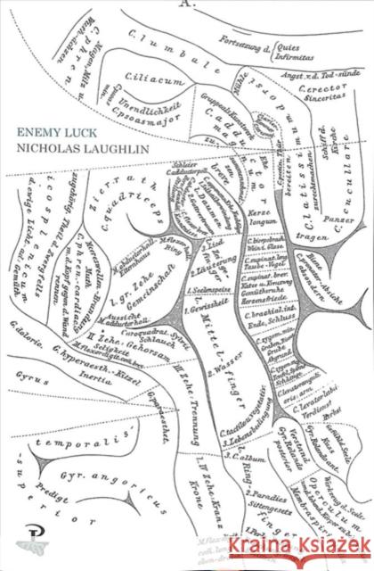 Enemy Luck Nicholas Laughlin 9781845234393 Peepal Tree Press Ltd - książka