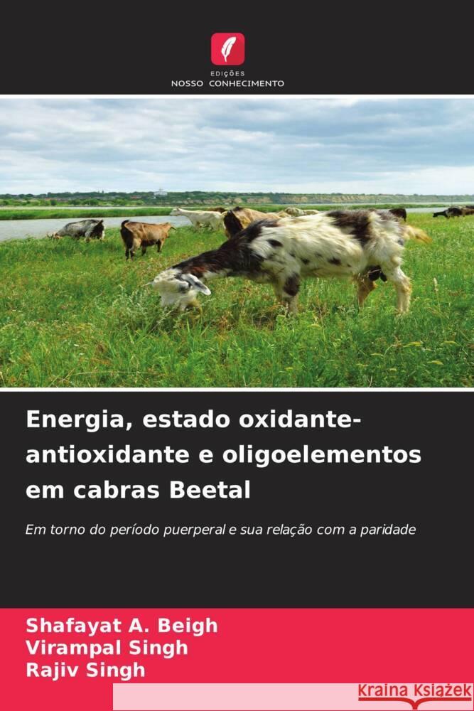 Energia, estado oxidante-antioxidante e oligoelementos em cabras Beetal A. Beigh, Shafayat, Singh, Virampal, Singh, Rajiv 9786208233167 Edições Nosso Conhecimento - książka