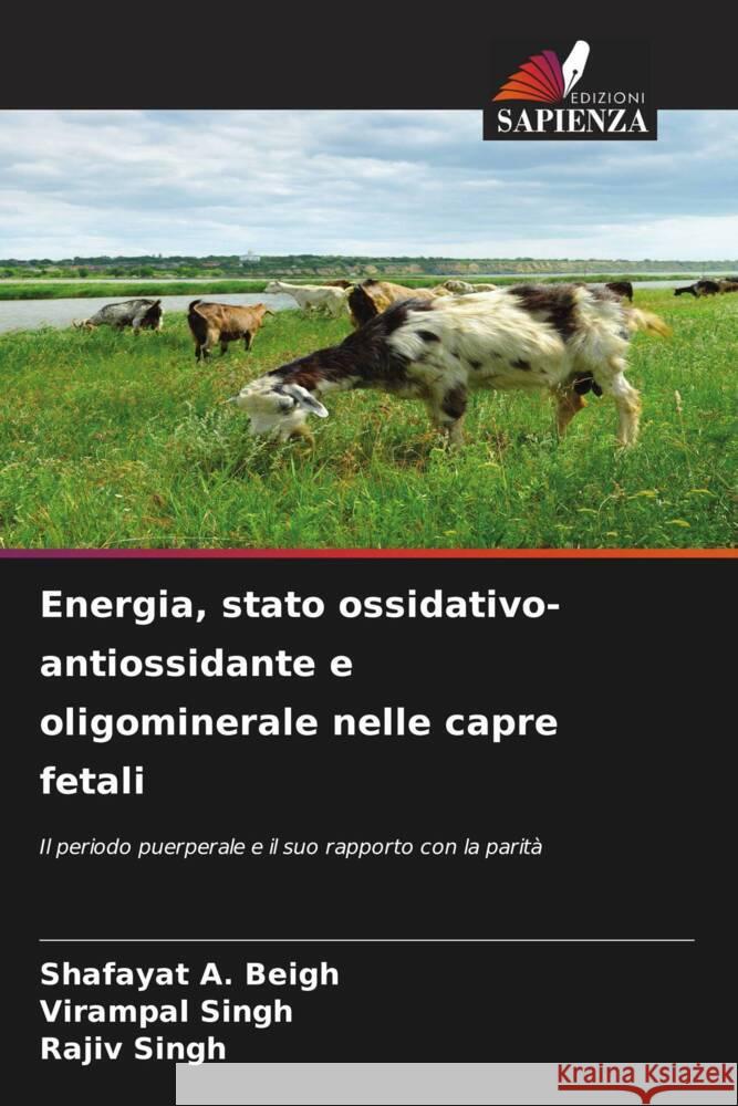 Energia, stato ossidativo-antiossidante e oligominerale nelle capre fetali A. Beigh, Shafayat, Singh, Virampal, Singh, Rajiv 9786208233235 Edizioni Sapienza - książka