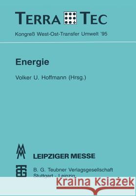 Energie- Und Umweltpolitik Na International 9783528064082 Vieweg+teubner Verlag - książka