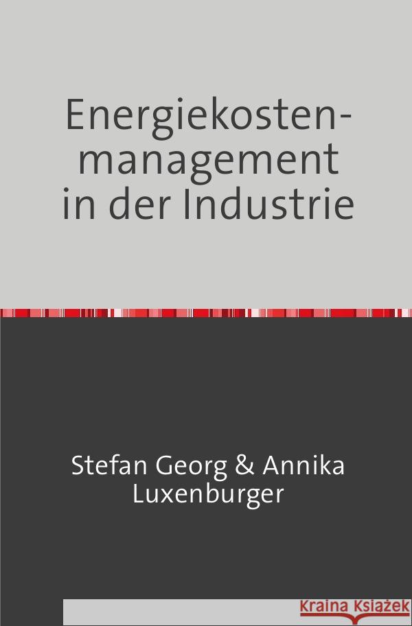 Energiekostenmanagement in der Industrie Georg, Stefan, Luxenburger, Annika 9783754973042 epubli - książka