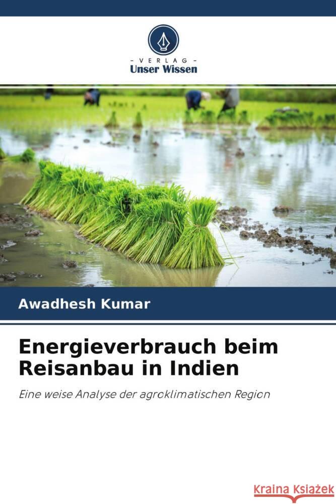 Energieverbrauch beim Reisanbau in Indien Kumar, Awadhesh 9786204277608 Verlag Unser Wissen - książka