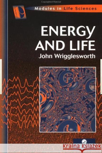 Energy And Life John M. Wrigglesworth Wrigglesworth Wrigglesworth 9780748404339 CRC Press - książka