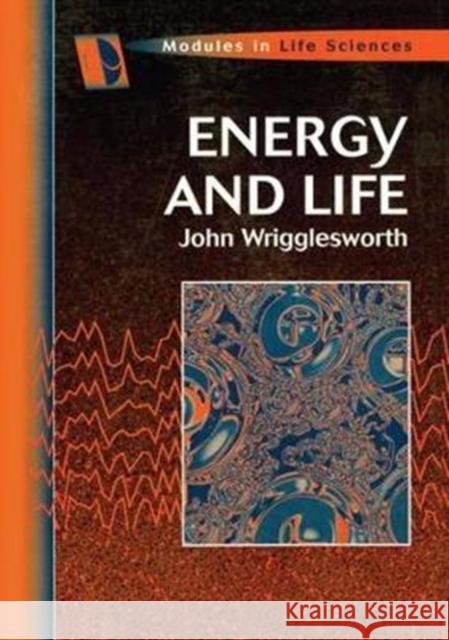 Energy and Life Wrigglesworth, John M. 9781138461895  - książka