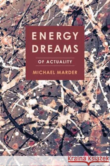 Energy Dreams: Of Actuality Marder, Michael 9780231180597 John Wiley & Sons - książka