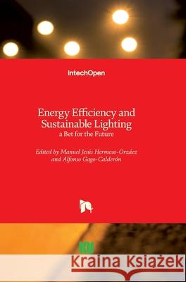 Energy Efficiency and Sustainable Lighting: a Bet for the Future Hermoso-Orz Alfonso Gago-Calder 9781789859591 Intechopen - książka