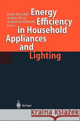 Energy Efficiency in Househould Appliances and Lighting  9783540414827 SPRINGER-VERLAG BERLIN AND HEIDELBERG GMBH &  - książka