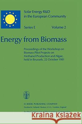 Energy from Biomass Willeke Palz D. Pirrwitz 9789027717009 Springer - książka