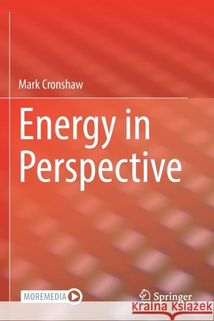 Energy in Perspective Mark Cronshaw 9783030635435 Springer - książka