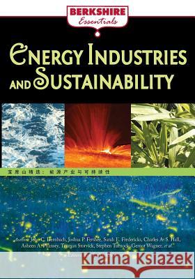 Energy Industries and Sustainability Ray C. Anderson 9781614729907 Berkshire Publishing Group - książka