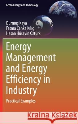 Energy Management and Energy Efficiency in Industry: Practical Examples Kaya, Durmuş 9783030259945 Springer - książka