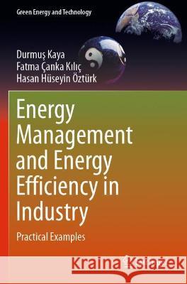 Energy Management and Energy Efficiency in Industry: Practical Examples Kaya, Durmuş 9783030259976 Springer International Publishing - książka