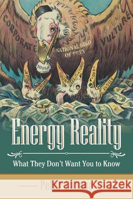 Energy Reality: What They Don'T Want You to Know Cabana, Peter 9781480856103 Archway Publishing - książka