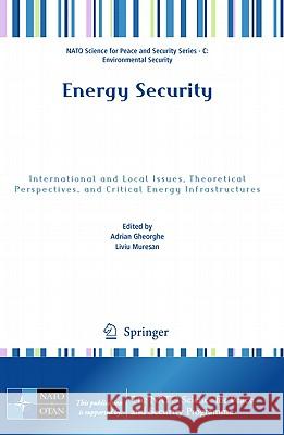 Energy Security: International and Local Issues, Theoretical Perspectives, and Critical Energy Infrastructures Gheorghe, Adrian V. 9789400707214 Springer - książka