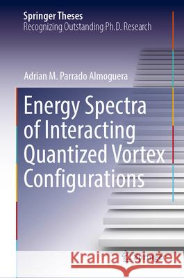 Energy Spectra of Interacting Quantized Vortex Configurations Adrian M. Parrad 9783032167705 Springer - książka