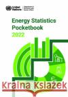 Energy Statistics Pocketbook 2022 United Nations Department for Economic and Social Affairs 9789212591971 United Nations