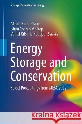 Energy Storage and Conservation  9789819928699 Springer Nature Singapore - książka