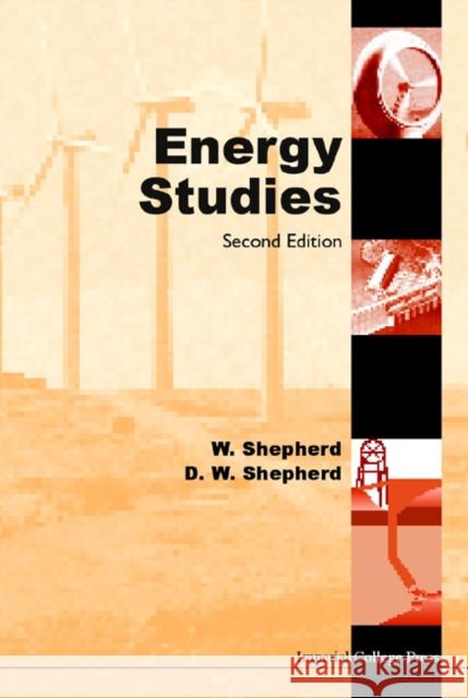 Energy Studies (2nd Edition) William Shepherd David W. Shepherd D. W. Shepherd 9781860943225 Imperial College Press - książka