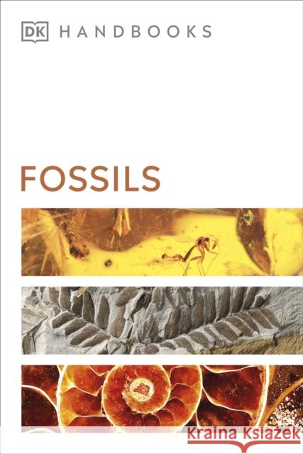 Fossils David Ward 9780241471432 Dorling Kindersley Ltd - książka