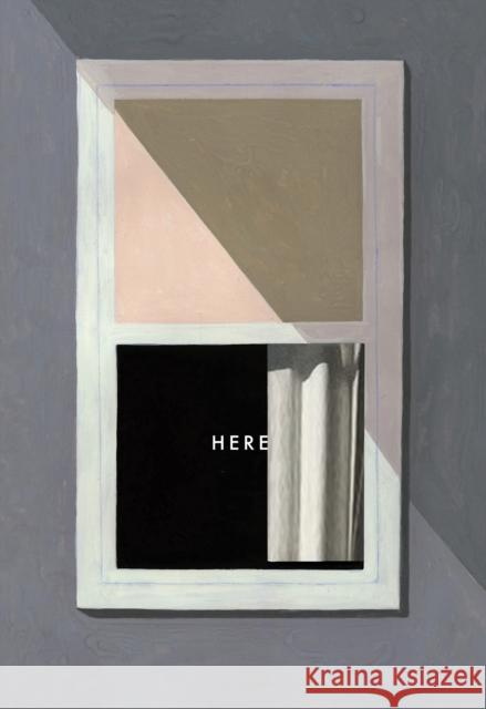 Here Richard McGuire 9780241755709 Penguin Books Ltd - książka