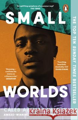 Small Worlds Caleb Azumah Nelson 9780241996041 Penguin Books Ltd - książka