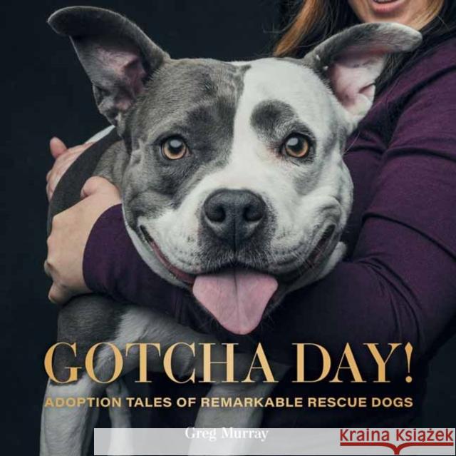 Gotcha Day: Adoption Tales of Remarkable Rescue Dogs Greg Murray 9781423655275 Gibbs M. Smith Inc - książka