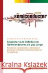 Engenharia de Defeitos em Semicondutores de gap Largo S. de Herval, Leonilson K. 9786202402484 Novas Edicioes Academicas