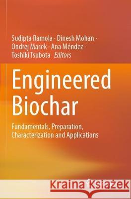 Engineered Biochar  9789811924903 Springer Nature Singapore - książka