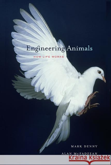 Engineering Animals: How Life Works Denny, Mark 9780674048546 Belknap Press - książka