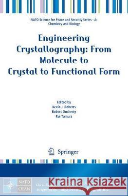 Engineering Crystallography: From Molecule to Crystal to Functional Form Kevin J. Roberts Robert Docherty Rui Tamura 9789402411188 Springer - książka