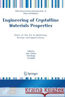 Engineering of Crystalline Materials Properties: State of the Art in Modeling, Design and Applications Novoa, Juan J. 9781402068249 Springer - książka