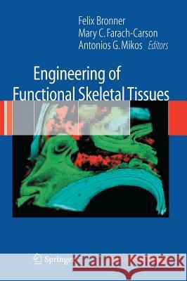 Engineering of Functional Skeletal Tissues Felix Bronner Mary C. Farach-Carson Antonios G. Mikos 9781852339623 Springer - książka