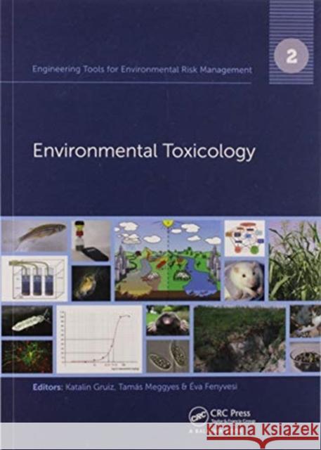 Engineering Tools for Environmental Risk Management: 2. Environmental Toxicology Katalin Gruiz Tamas Meggyes Eva Fenyvesi 9780367575892 CRC Press - książka