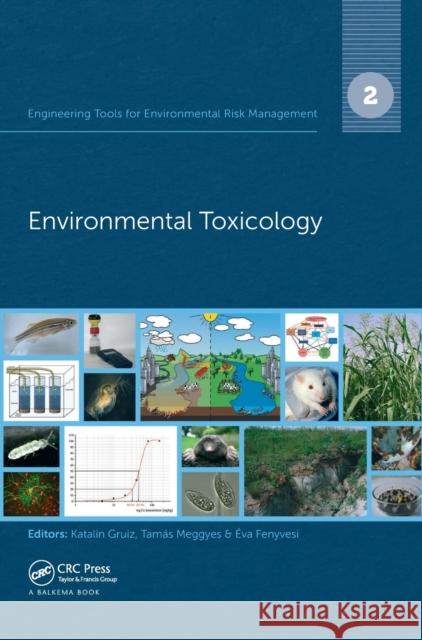 Engineering Tools for Environmental Risk Management: 2. Environmental Toxicology Gruiz Katalin Tamas Meggyes Eva Fenyvesi 9781138001558 CRC Press - książka