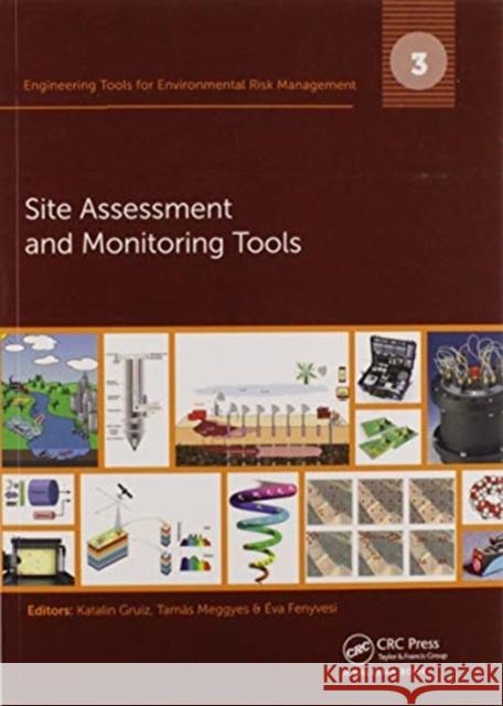 Engineering Tools for Environmental Risk Management: 3. Site Assessment and Monitoring Tools Katalin Gruiz Tamas Meggyes Eva Fenyvesi 9780367574260 CRC Press - książka