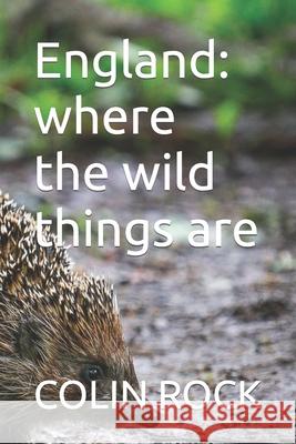 England: where the wild things are Rock, Colin 9798754016477 Independently published - książka