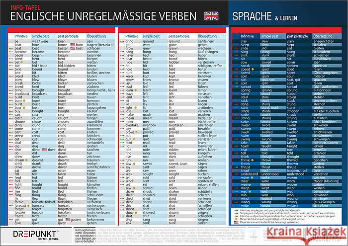 Englische unregelmäßige Verben Schulze Media GmbH 9783864487156 Dreipunkt Verlag - książka