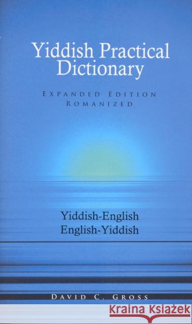 English-Yiddish/Yiddish-English Practical Dictionary (Expanded Romanized Edition) David C. Gross 9780781804394 Hippocrene Books - książka