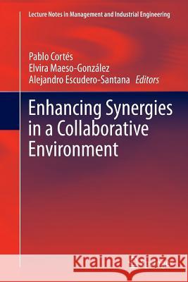 Enhancing Synergies in a Collaborative Environment Pablo Cortes Elvira Maeso-Gonzales Alejandro Escudero-Santana 9783319382821 Springer - książka