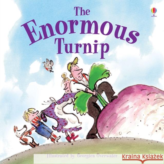 Enormous Turnip Katie Daynes 9781409580478 Usborne Publishing Ltd - książka