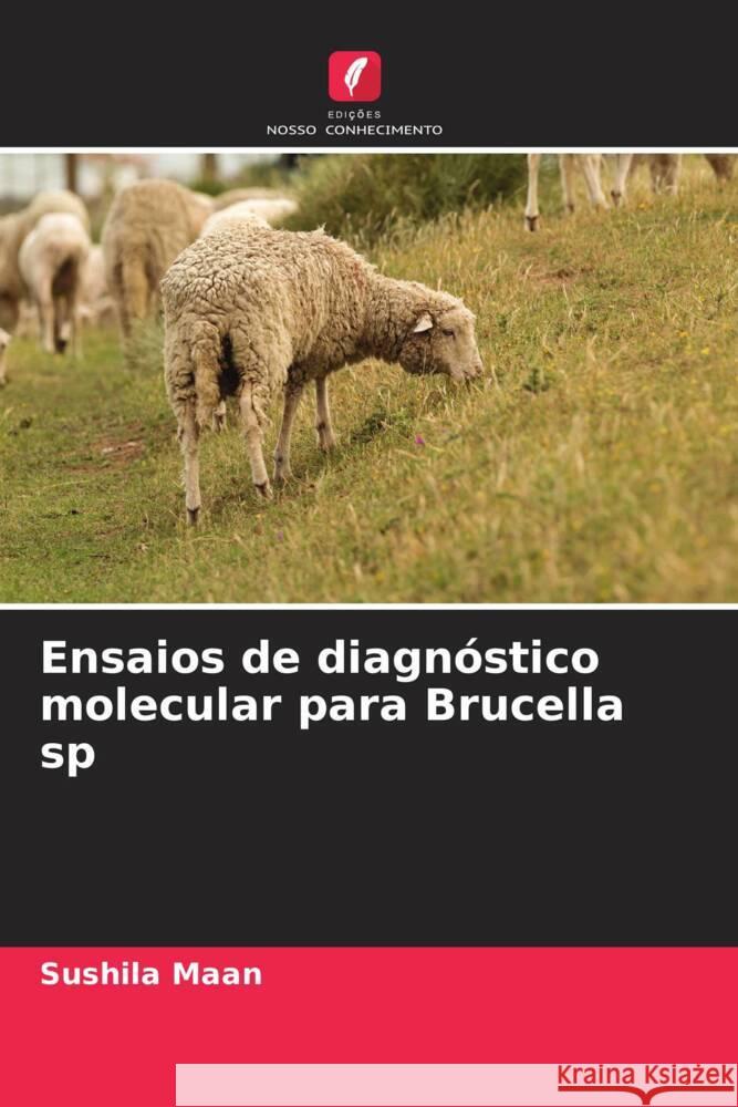 Ensaios de diagnóstico molecular para Brucella sp Maan, Sushila 9786205447802 Edições Nosso Conhecimento - książka