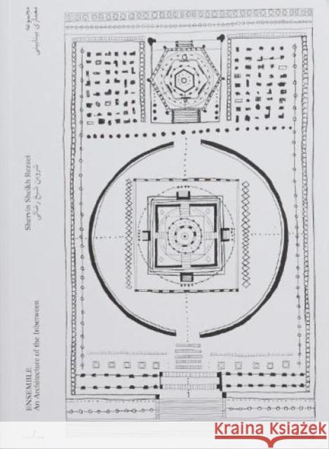 ENSEMBLE Shervin Sheikh Rezaei 9789493146594 APE - książka