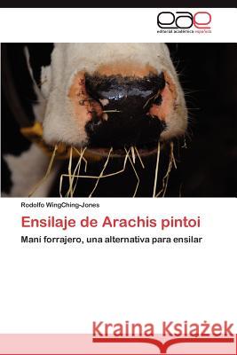 Ensilaje de Arachis pintoi Wingching-Jones Rodolfo 9783845489629 Editorial Académica Española - książka