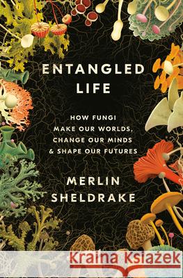 Entangled Life: How Fungi Make Our Worlds, Change Our Minds & Shape Our Futures Sheldrake, Merlin 9780525510314 Random House - książka