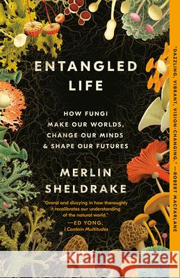 Entangled Life: How Fungi Make Our Worlds, Change Our Minds & Shape Our Futures Merlin Sheldrake 9780525510321 Random House Trade - książka